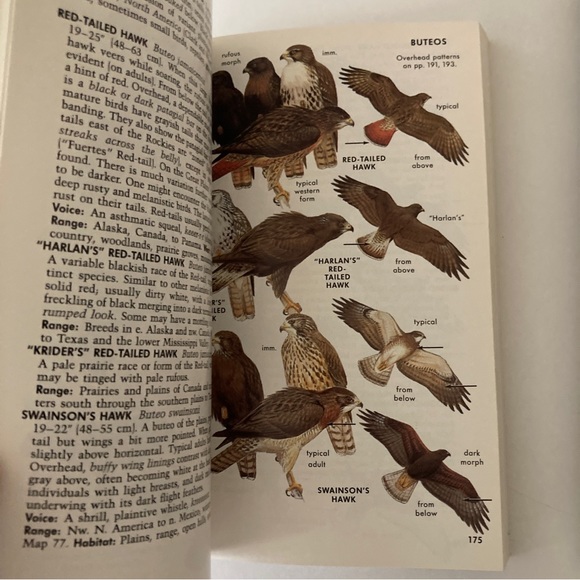2 Western Birds Identification Books Peterson Field Guides Bird Watcher's Digest - Picture 3 of 11